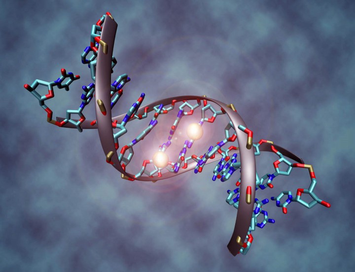 زیست کامپیوتر ساخته شده از رشته های DNA پدیده ای دیگر در علم پزشکی