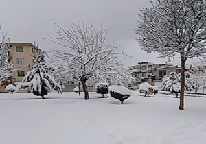 بارش برف، مریوان را سفیدپوش کرد فیلم