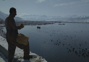 غذا دادن به پرندگان مهاجر در دریاچه زریبار فیلم