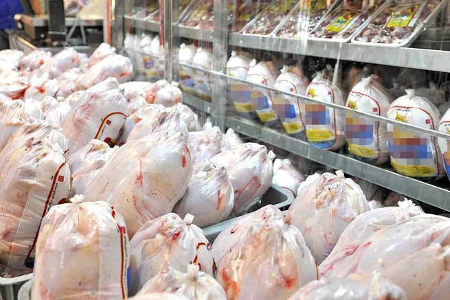 قیمت گوشت مرغ همچنان روبه کاهش