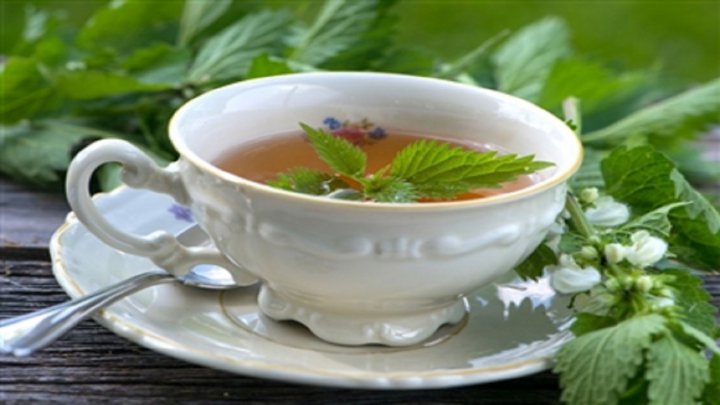 خواص جادویی گزنه در درمان بیماری های تنفسی