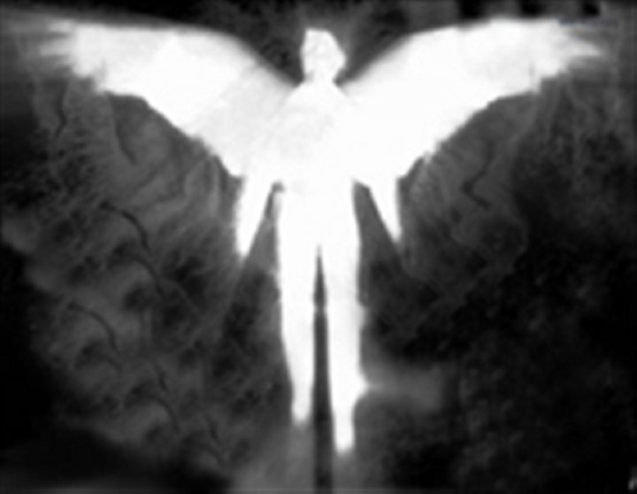 زنی که یک روح بادیگاردش است عکس