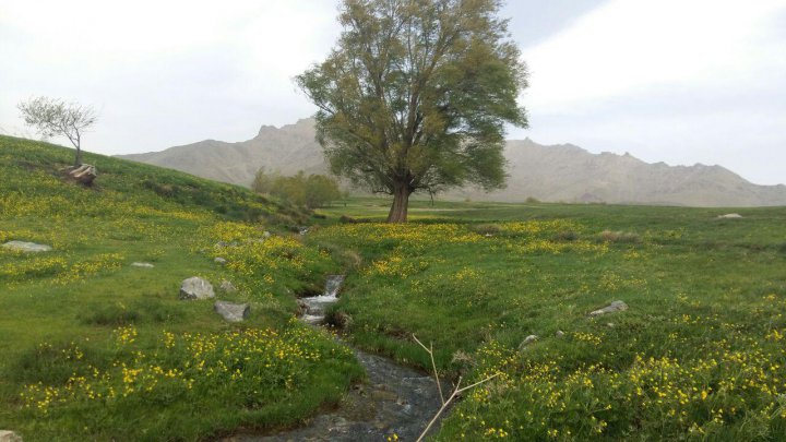 نمایی از بهشت گمشده «بدر و پریشان» در قروه فیلم