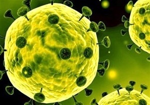 ویروس کرونا در بندرماهشهر کنترل شده است