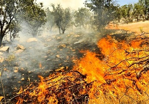 ستاد بحران تامین امکانات اطفای حریق را جدی بگیرد