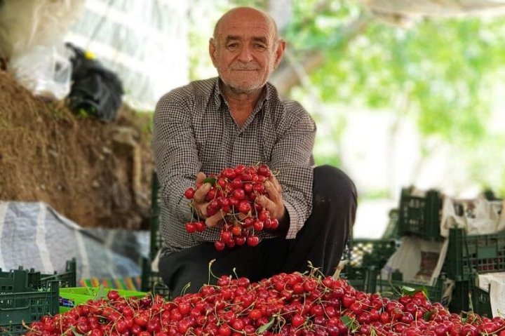 افزایش درآمد و تنوع بخشی در طارم با گردشگری کشاورزی