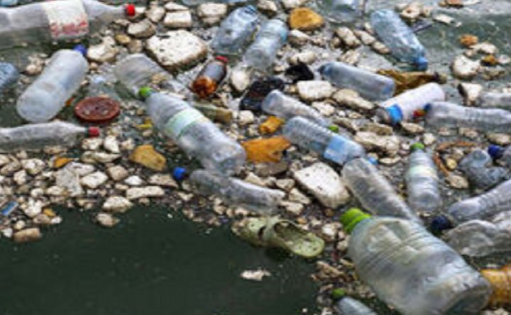 مصرف سالانه ده ها هزار ذره پلاستیکی در رژیم غذایی