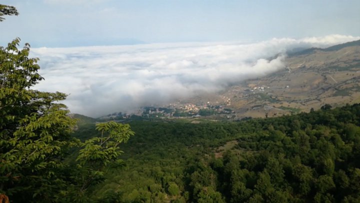 تلفیق جنگل و ابر در کجور نوشهر فیلم