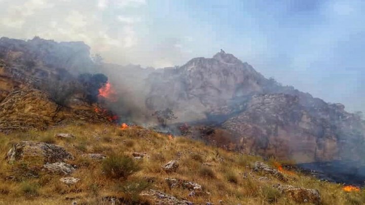 آتش سوزی در کوه های جم پس از مهار، دوباره زبانه کشید