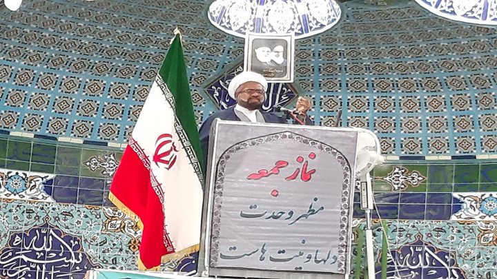 سنگ اندازی انجمن خرما، نخل های شرق کرمان را نابود کرد