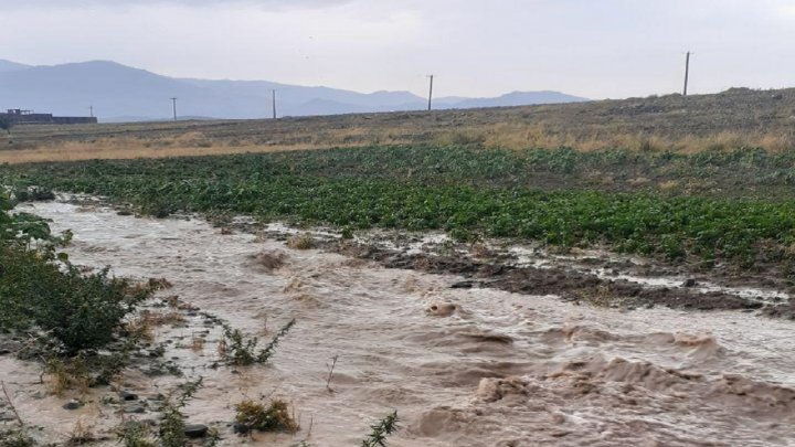 سیلاب در مزارع کشاورزی رابر کرمان تصاویر