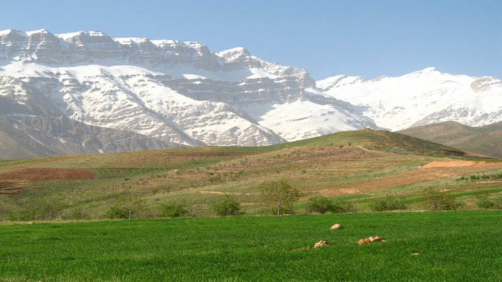 احاله مدیریت ۳۶ هزار و ۱۹۶ هکتار مراتع خراسان شمالی به بهره برداران