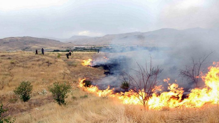 شناسایی ۱۲ مورد آتش سوزی عمدی در مراتع در قزوین