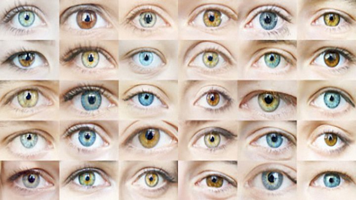 Ojos de cada color nombre