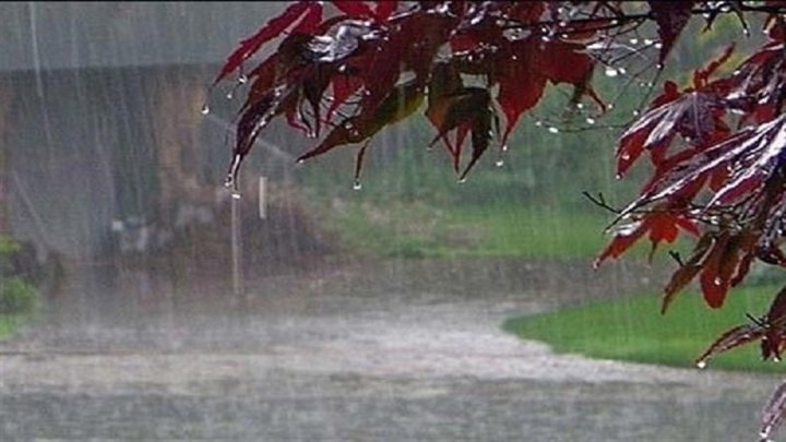 بارش باران در اغلب مناطق کشور؛ یخبندان در ۸ استان فیلم