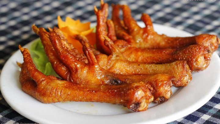 خواص شگفت انگیز پای مرغ در غضروف سازی