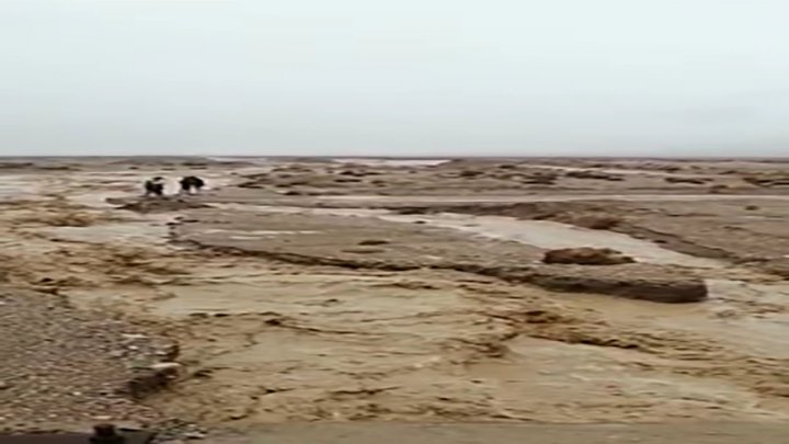 جاری شدن رودخانه فصلی در رفسنجان فیلم