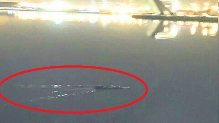 تصویری از موجود مرموز احتمالی در دریاچه چیتگر