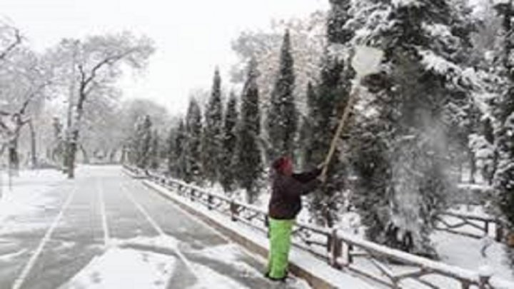 شاخه های برف گرفتهٔ درختان را بتکانید