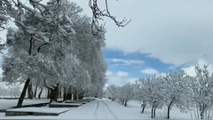 نمایی از طبیعت زمستانی در شاهرود فیلم و تصاویر