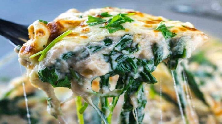 طرز تهیه گراتن گل کلم و اسفناج و قارچ با سس بشامل