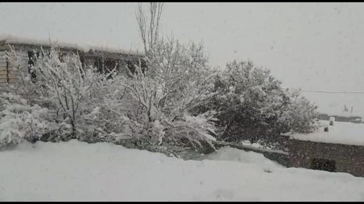 روستای پرزگان سفلی رخت زمستانی بر تن کرد فیلم