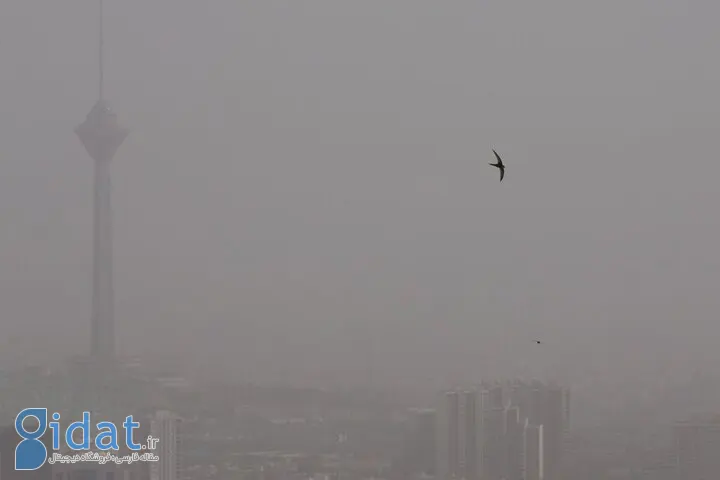 سفارت دانمارک در مورد شرایط در تهران هشدار داد