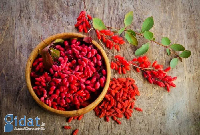 گنجی سرخ با خواص شگفت انگیز