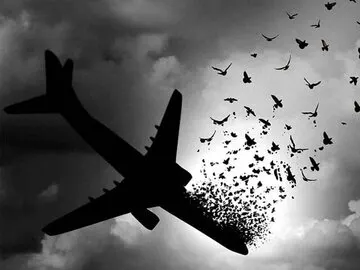 ماجرای سقوط هواپیما برای محسن رضایی و احمدی نژاد