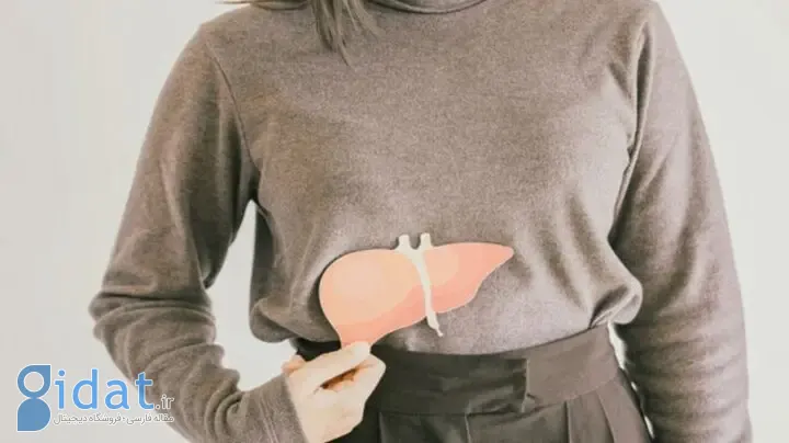 این باورهای رایج در مورد کبد چرب را دور بریزید