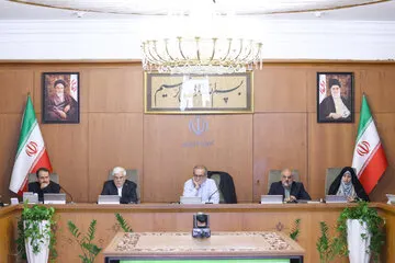 عکسی از مسعود پژاکیان در صحن دولت امروز