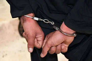 سرقت از منازل با ماشین پلاک جعلی در تهران