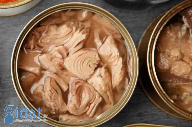 وجود فلزات سنگین در ماهی هایی که خوردن آنها ممنوع است