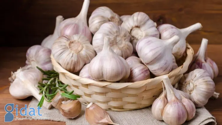 خطرناک‌ترین روش نگهداری سیر که می‌تواند کشنده باشد!