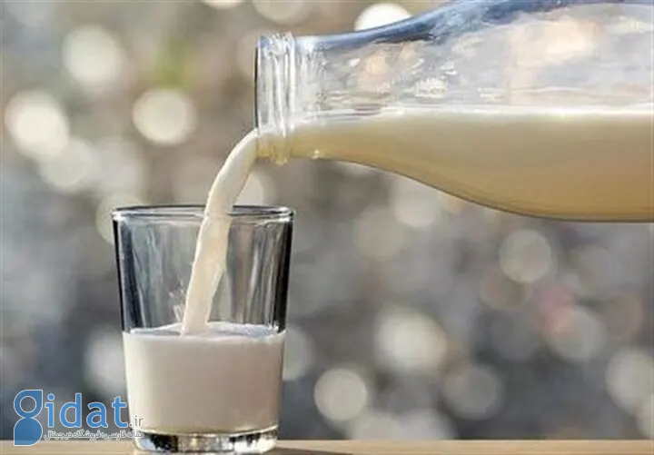 واکنش مردم به افزایش قیمت لبنیات: نمیخریم!