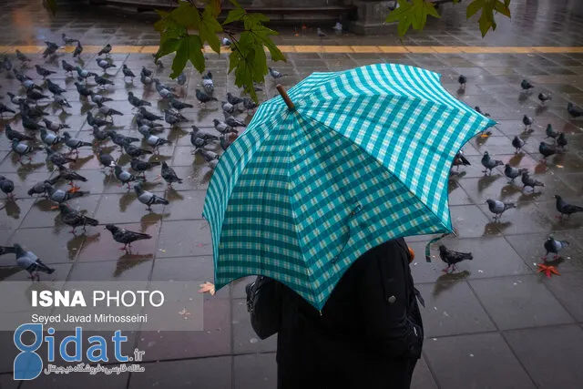 پیش بینی آب و هوا برای تعطیلات پیش رو