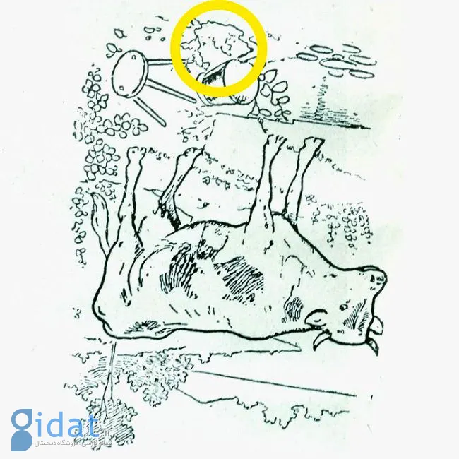 میتوانید در 8 ثانیه چهره مخفی شده در این تصویر را پیدا کنید؟