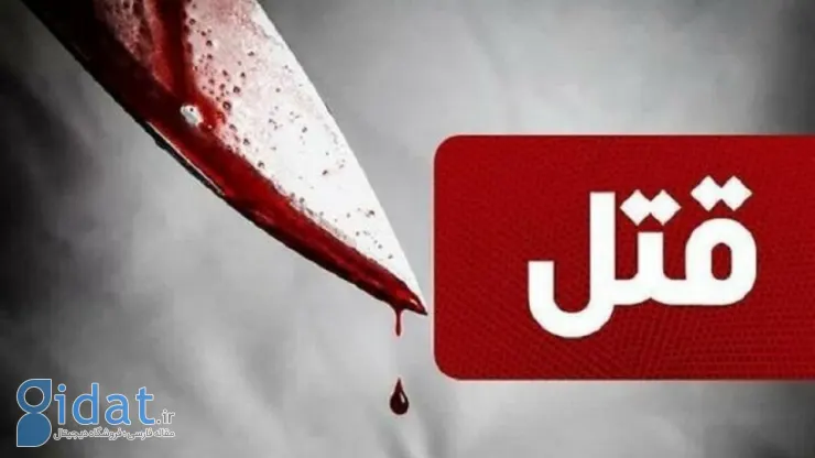 متهم به قتل داماد: به خاطر خواهرم او را کشتم