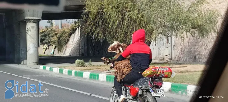 یک روز خیلی معمولی در یکی از خیابان های مشهد