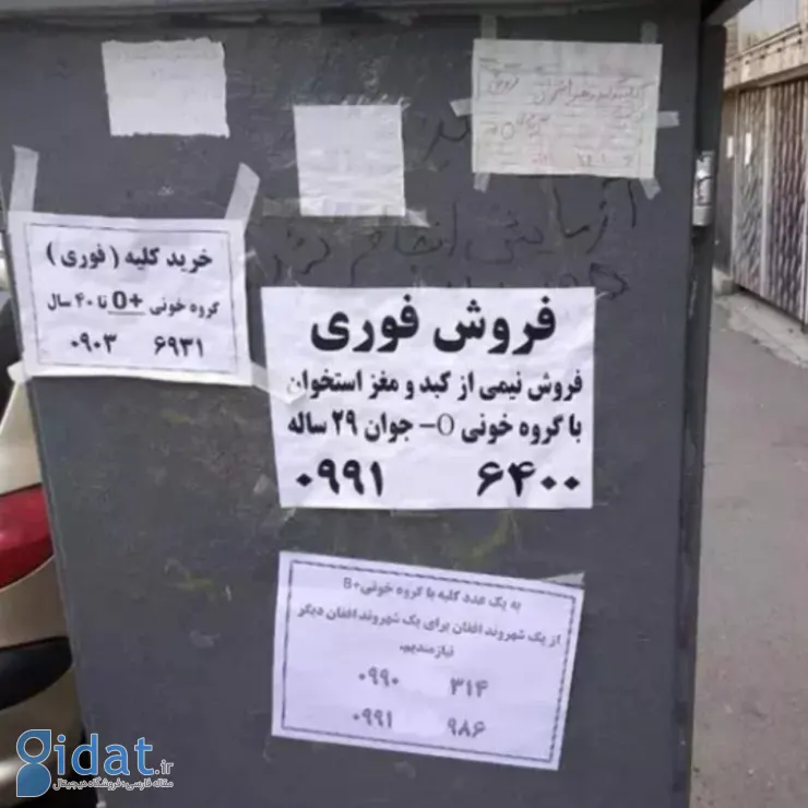 نقل قول 