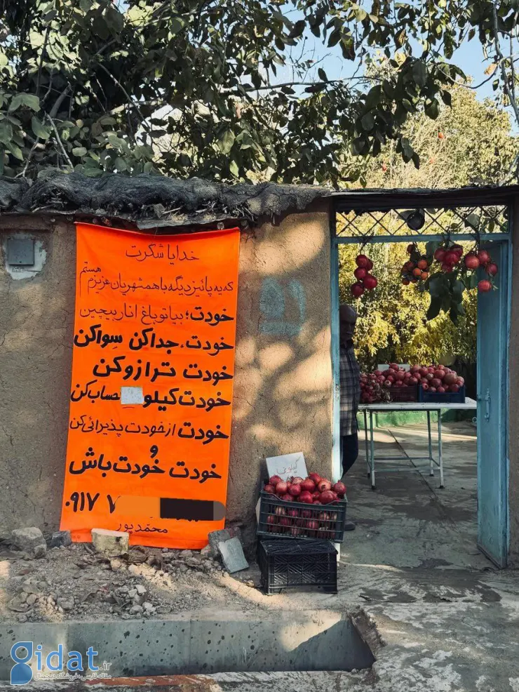 اقدام خلاقانه یک فروشنده انار در شیراز توجه ها را به خود جلب کرد
