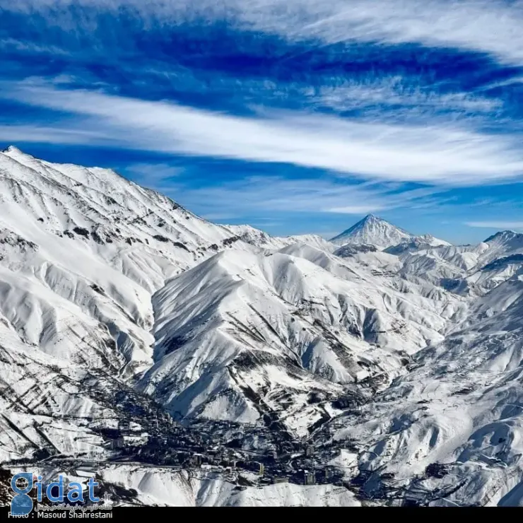 photo_2026-01-31_11-08-08