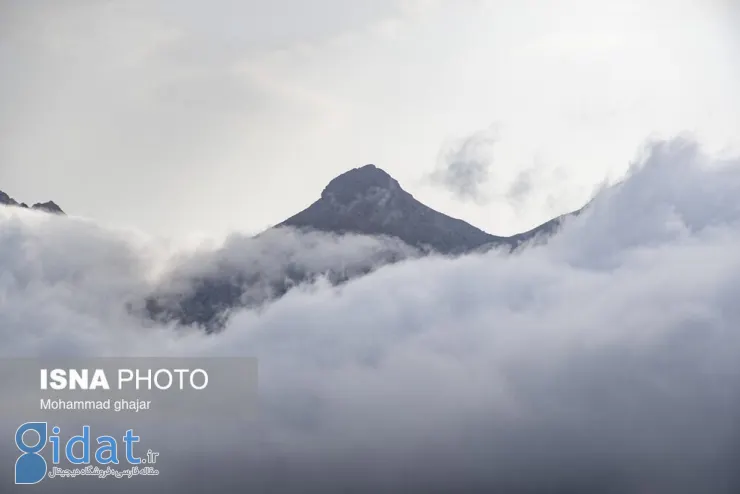 تصاویر جذاب و دیدنی از ارتفاعات جنگلی اولنگ