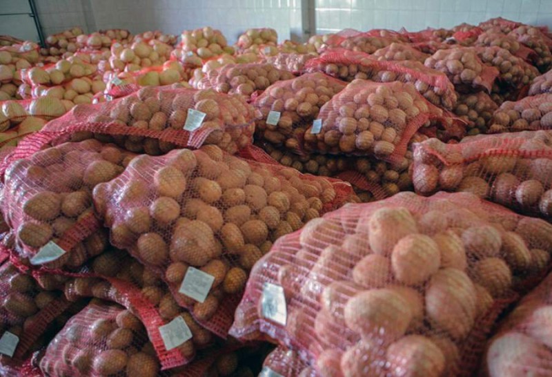 صادرات سیب زمینی به دبی از طریق شرکت بین المللی آراد برندینگ