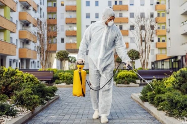 شرکت نوین سمپاش تهران؛ پیشرو در کنترل آفات پایتخت