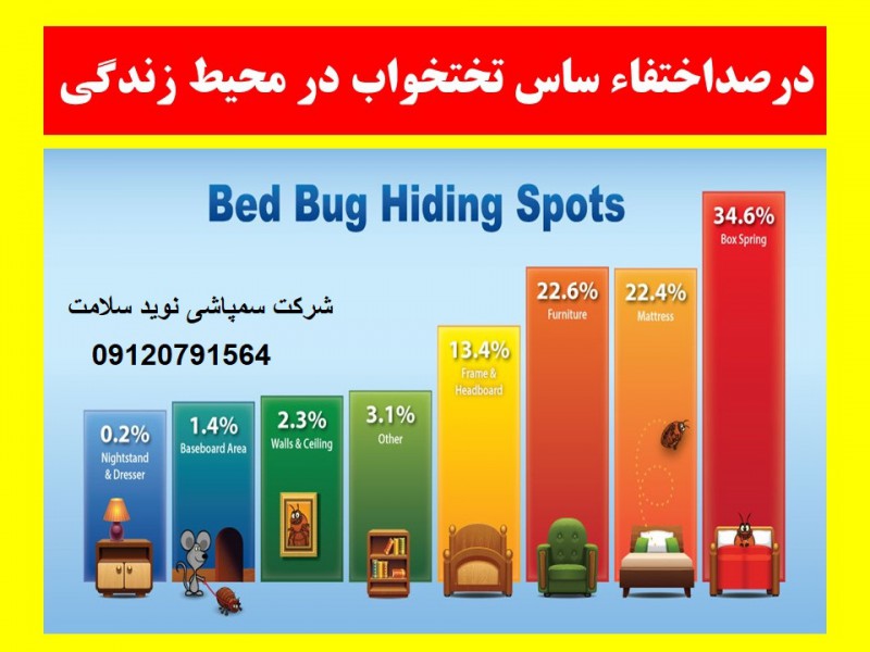 چطور ساس را از بین ببریم