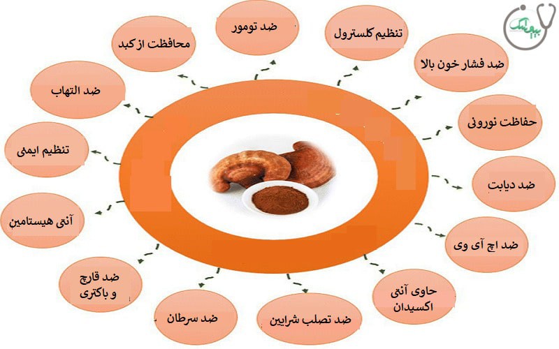 مهم ترین خواص قارچ گانودرما