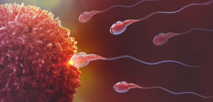 راه هایی برای افزایش باروری مردان و افزایش اسپرم