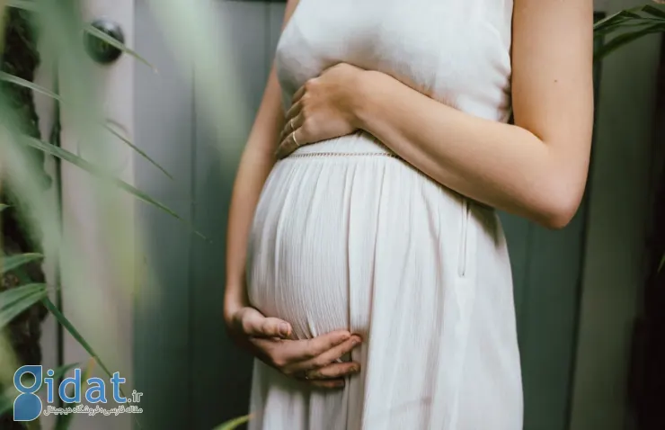 میزان روی مورد نیاز بدن زنان باردار