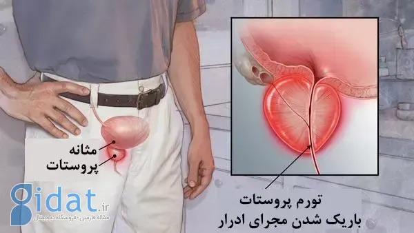داشتن زندگی سالم